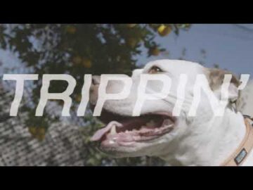 [ID: PacTm6Jt98w] Youtube Automatic