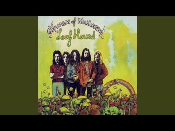 [ID: pYxE2lY_vmM] Youtube Automatic