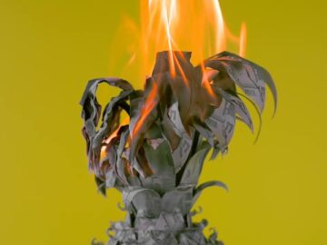 [ID: R4iz1IRx7sg] Youtube Automatic