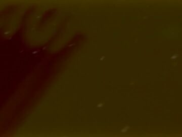 [ID: rPdxkOIOrVg] Youtube Automatic