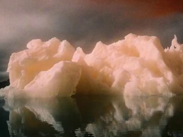 [ID: s8fkndFmdy0] Youtube Automatic