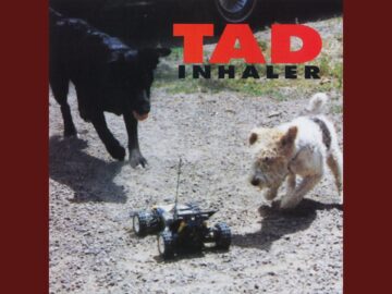 [ID: tF-unN0Pb3w] Youtube Automatic