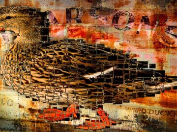 [ID: TS_vSjhhGt0] Youtube Automatic