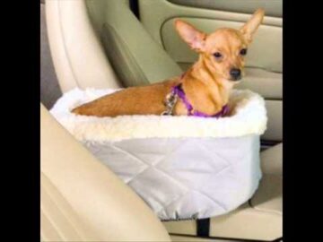 [ID: tuN8UbetRyA] Youtube Automatic