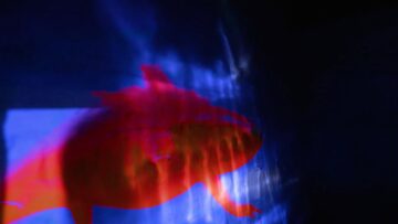 [ID: ucFHjwIePnw] Youtube Automatic