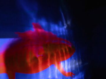 [ID: ucFHjwIePnw] Youtube Automatic