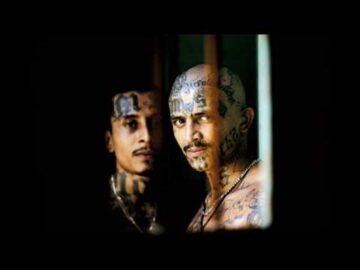 [ID: vhYtgoc3Swg] Youtube Automatic