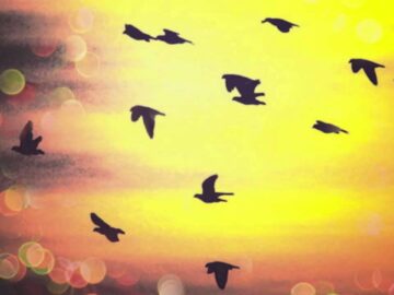 [ID: YYzCnEwk5Eg] Youtube Automatic