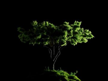 [ID: Z2fVPoasrLc] Youtube Automatic