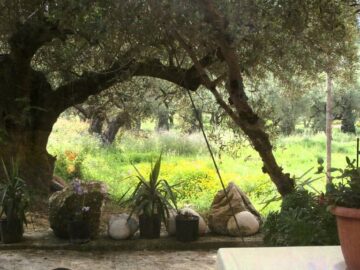 She is drifting away to paradise