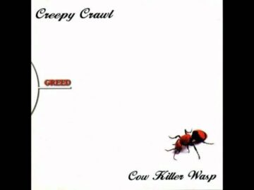 [ID: 6AvSfie6EX8] Youtube Automatic