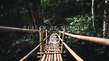 [ID: kJyQyIWdkQM] Youtube Automatic