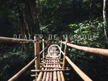 [ID: kJyQyIWdkQM] Youtube Automatic