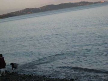 [ID: l5rB-uCcGrs] Youtube Automatic