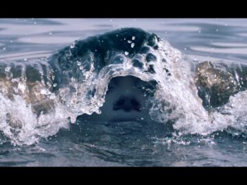 [ID: nD3iG6m44g8] Youtube Automatic