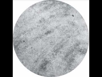 [ID: NpSTNNhyC8s] Youtube Automatic