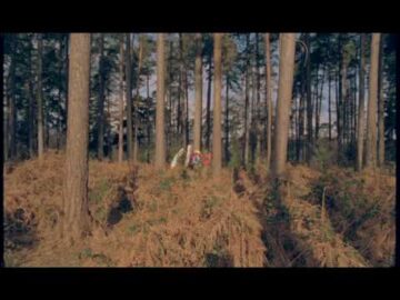 [ID: o7X3LYGV_N8] Youtube Automatic