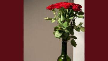 [ID: q3VKt-lRmwE] Youtube Automatic