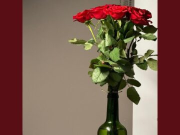 [ID: q3VKt-lRmwE] Youtube Automatic