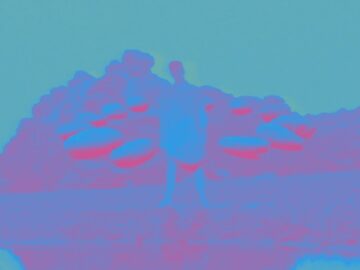 [ID: QxJhrwyn0M4] Youtube Automatic