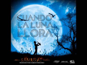 [ID: T_FKkuIRBYM] Youtube Automatic