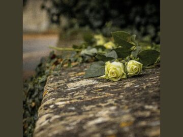 [ID: uGxETxjrOKs] Youtube Automatic