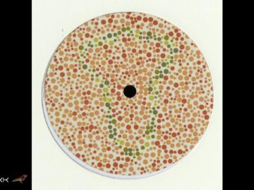 [ID: y5MeOGJOUuo] Youtube Automatic