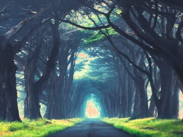 [ID: zU_RcLiT_fg] Youtube Automatic