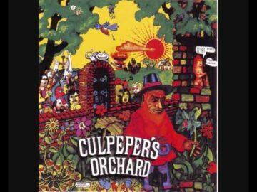 [ID: mWBqApV2jOI] Youtube Automatic