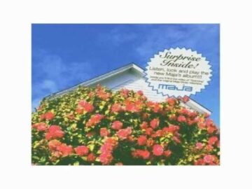 [ID: OAntwuR5tcg] Youtube Automatic