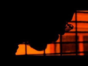 [ID: -xvP6GsdPFk] Youtube Automatic