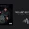 Big Gipp & James Artissen – Whatever You Like (Official Audio)