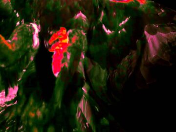 [ID: 3otRi1Dd94g] Youtube Automatic