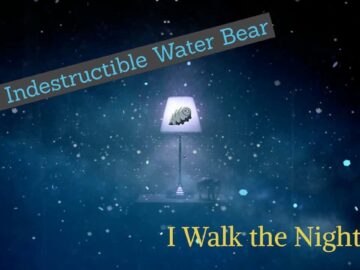 [ID: AlxST7C7zHo] Youtube Automatic