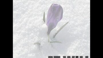 [ID: eu9Ccqcra-s] Youtube Automatic