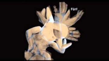 [ID: g8WryU1MKRg] Youtube Automatic