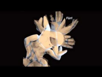 [ID: g8WryU1MKRg] Youtube Automatic