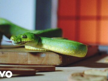 [ID: IlkTVMMkCP4] Youtube Automatic