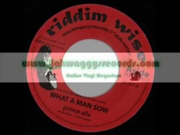 [ID: KOTwvovo1SE] Youtube Automatic