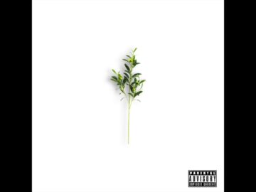 [ID: mGtueSz1m4A] Youtube Automatic