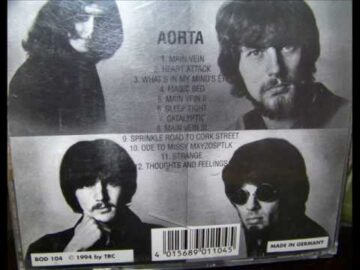 [ID: PgRBah1Sa1M] Youtube Automatic