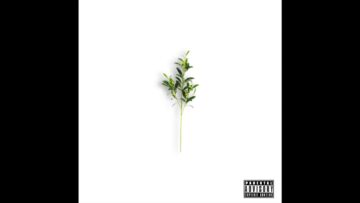 [ID: _VHbgDE0hqI] Youtube Automatic