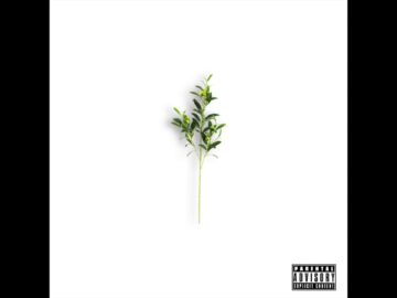 [ID: xeUJsqieRbY] Youtube Automatic