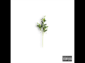 [ID: YlnncTi2X14] Youtube Automatic