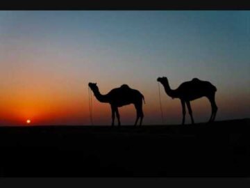 [ID: ytS-EoubCY4] Youtube Automatic