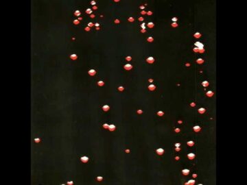 [ID: ZA36WzvDINk] Youtube Automatic