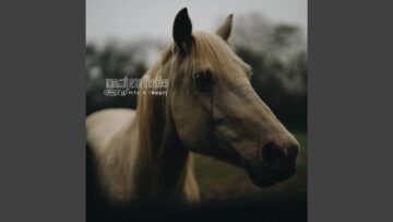 [ID: zF4L68e_FNE] Youtube Automatic