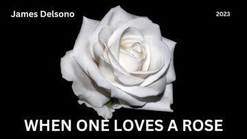 When One Loves A Rose