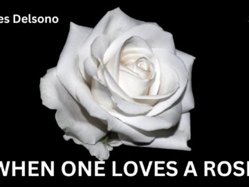 When One Loves A Rose