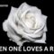 When One Loves A Rose